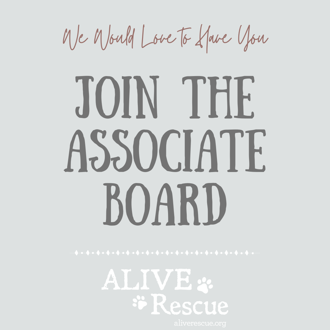 Join the Wisconsin Associate Board
